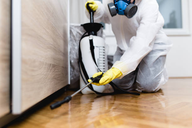 Best Exterminator Services  in Sandpoint, ID