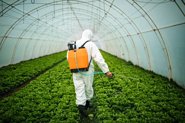 Best Pest Control for Businesses  in Sandpoint, ID