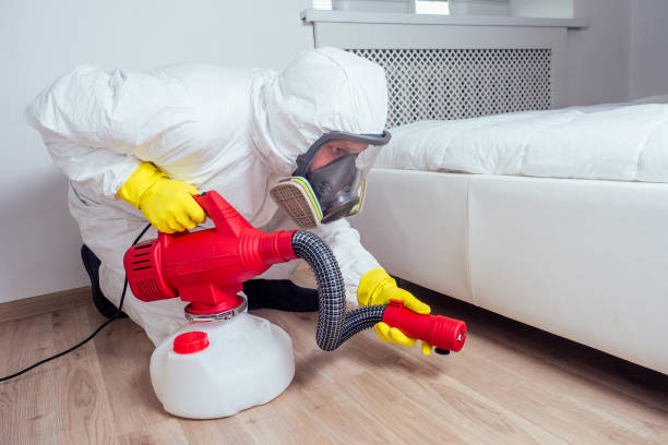 Best Local Pest Control Services  in Sandpoint, ID