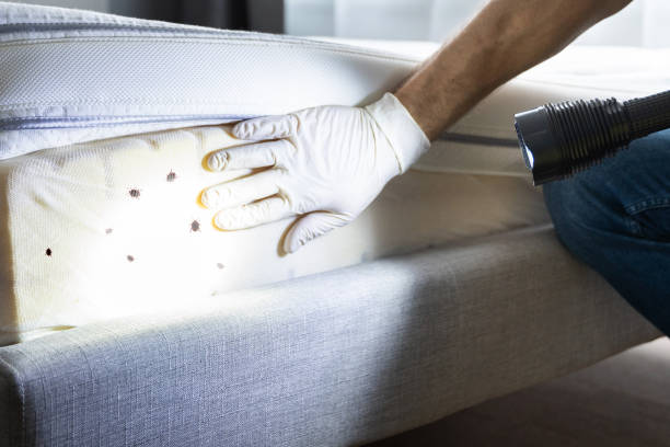 Best Exterminator Services  in Sandpoint, ID