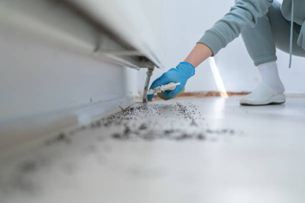 Best Affordable Pest Control Services  in Sandpoint, ID